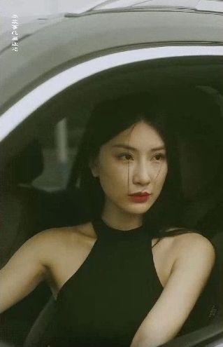 特工凤凰绝色特工