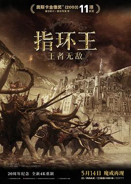指环王3王者无敌【影视解说】