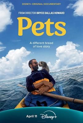 宠Pets