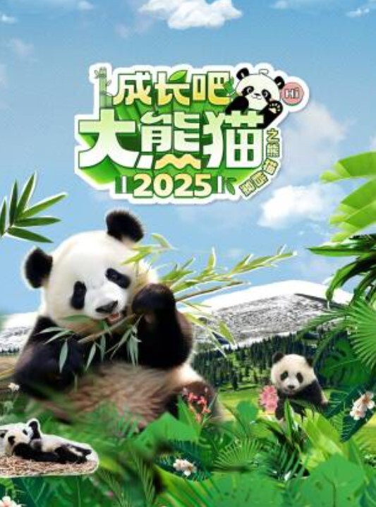 成长吧！大熊猫2025
