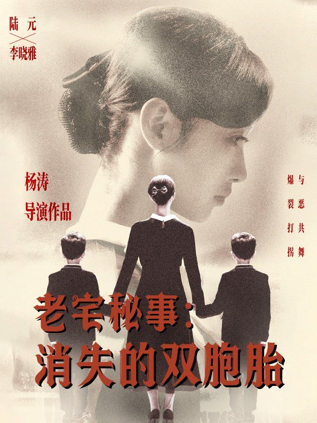 老宅秘事消失的双胞胎消失的孩子