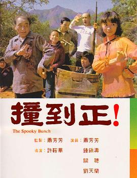 撞到正剧情解说