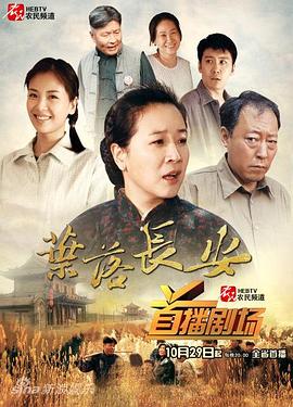 叶落长安剧情解说