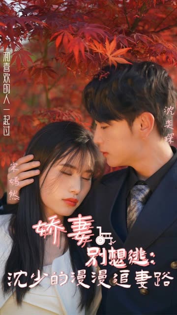 娇妻别想逃沈少的漫漫追妻路