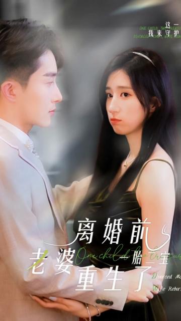 一胎二宝离婚前老婆重生了