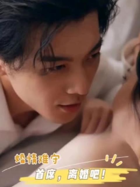 婚情难守首席，离婚吧