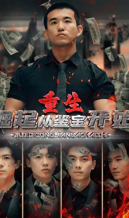重生崛起从鉴宝开始