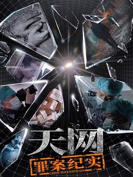 天网罪案纪实