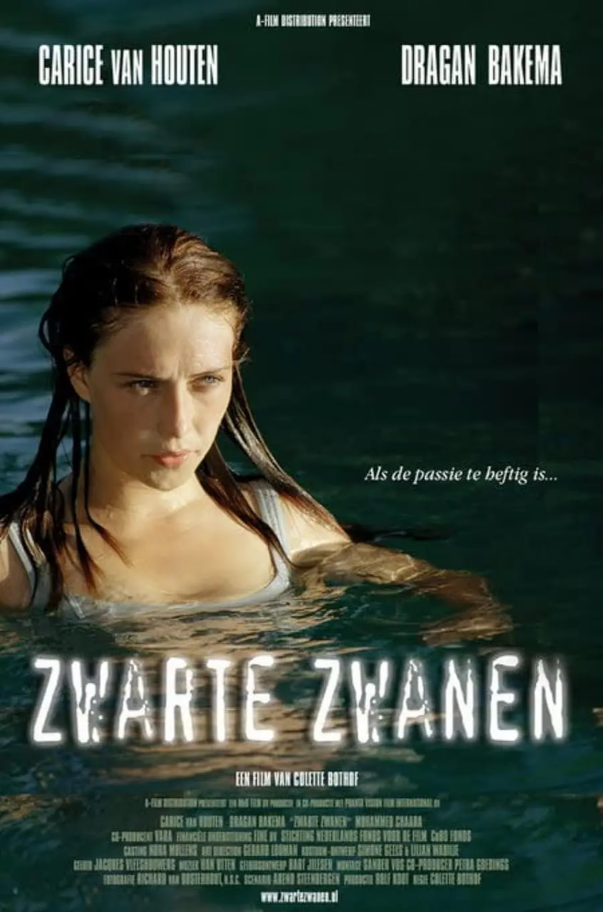 黑天鹅2005