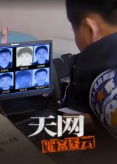 天网罪案疑云