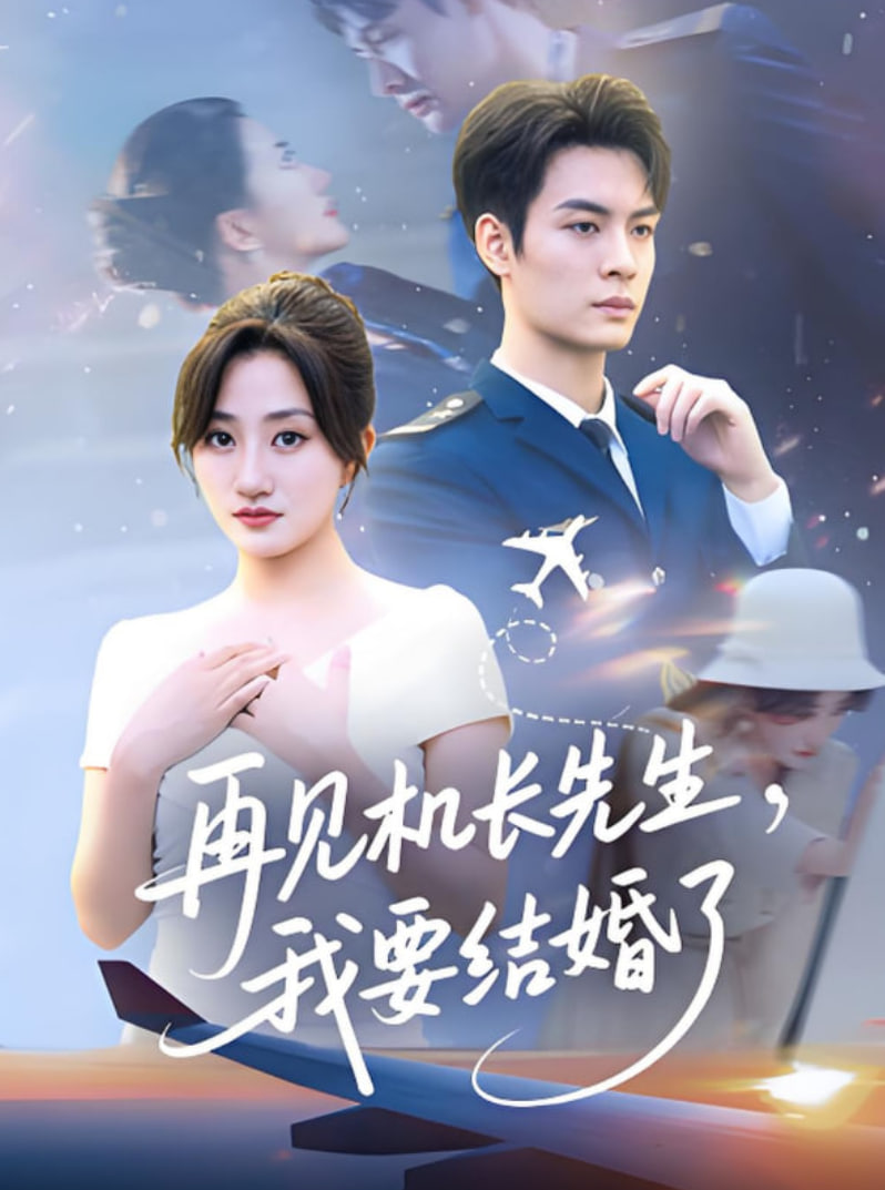 再见机长先生我要结婚了再见机长先生，我要结婚了