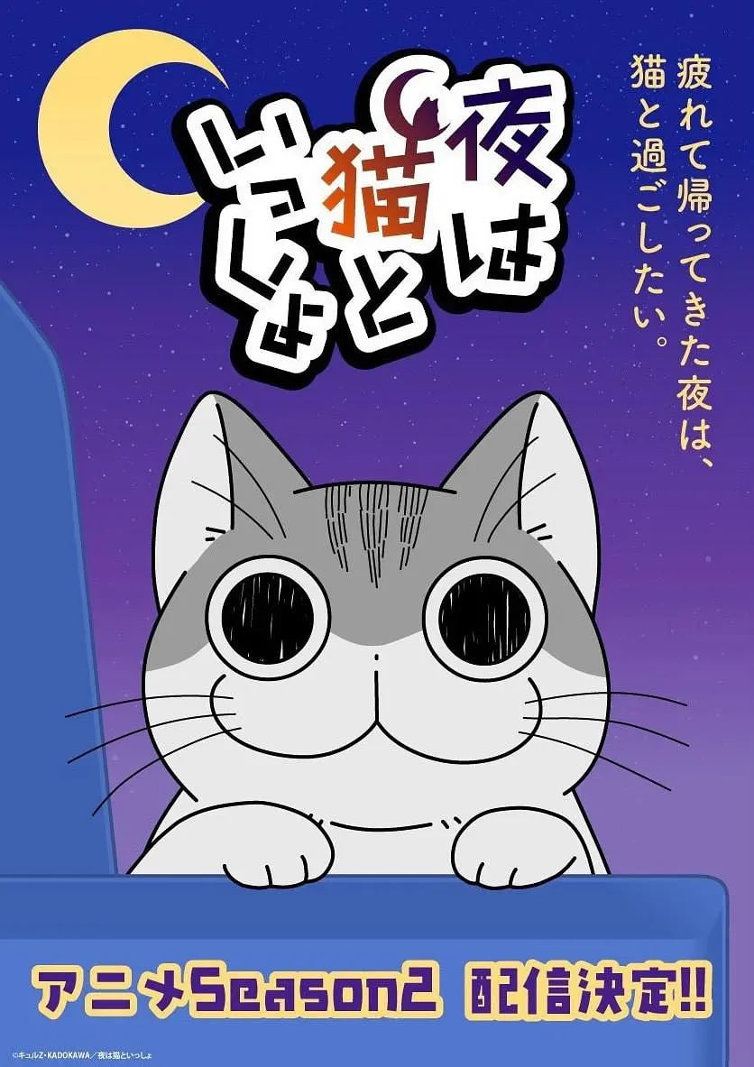 关于养猫我一直是新手第二季