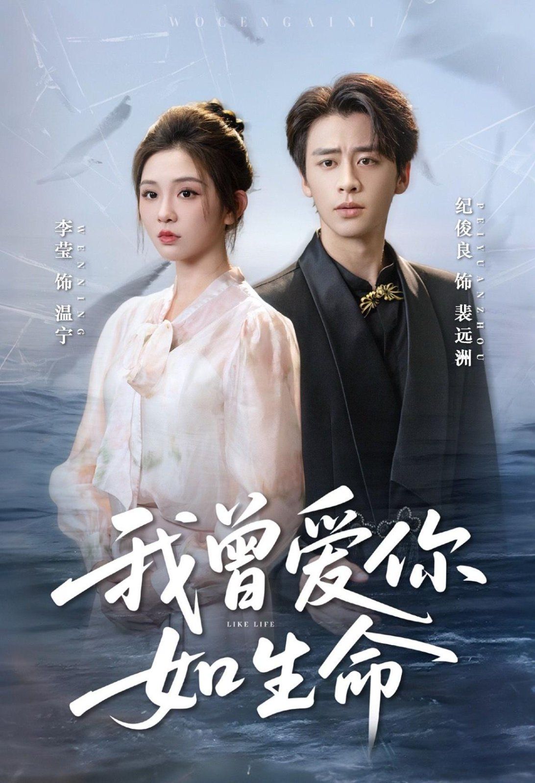 我曾爱你如生命宁夜向远
