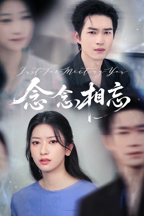 念念相忘短剧版
