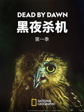 黑夜杀机第一季
