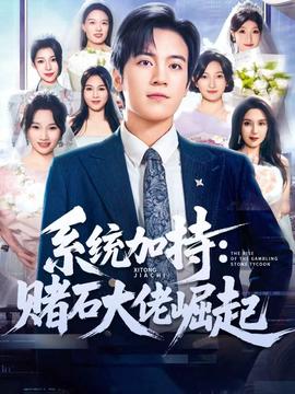 统加持赌石大佬崛起