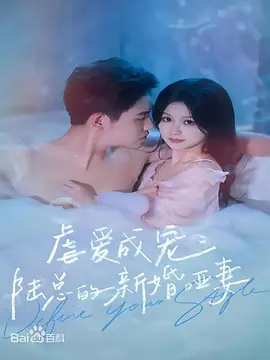 虐爱成宠陆总的新婚哑妻