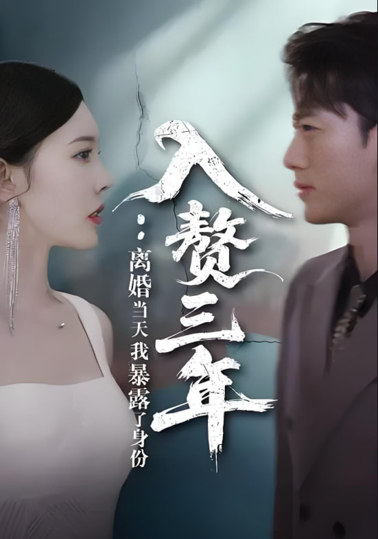 入赘三年离婚当天我暴露了身份