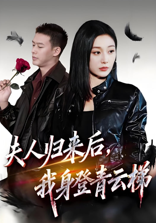夫人归来后我身登青云梯夫人助我踏巅峰