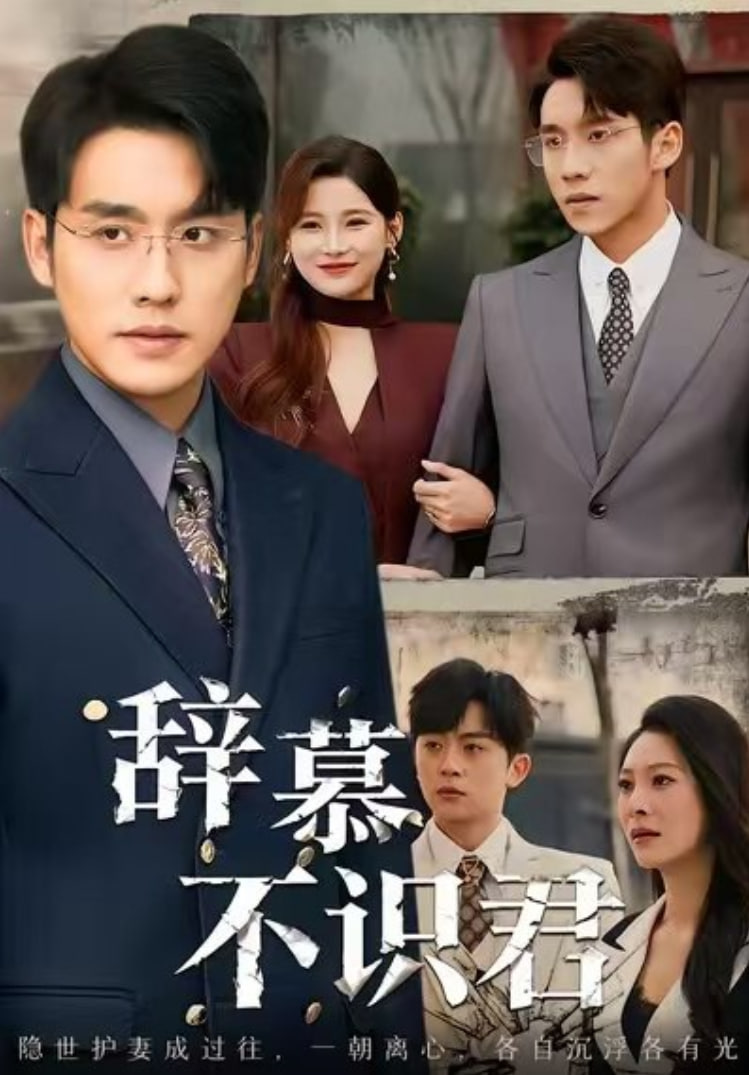 辞慕不识君七年情深终成侮