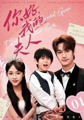 顾总，我才是你的夫人你好，我的夫人