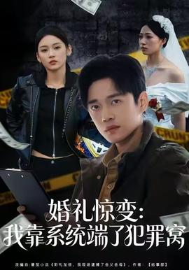 婚礼惊变我靠系统端了犯罪窝