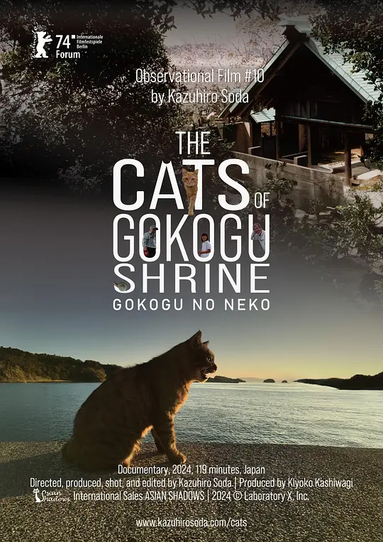 五香宫的猫