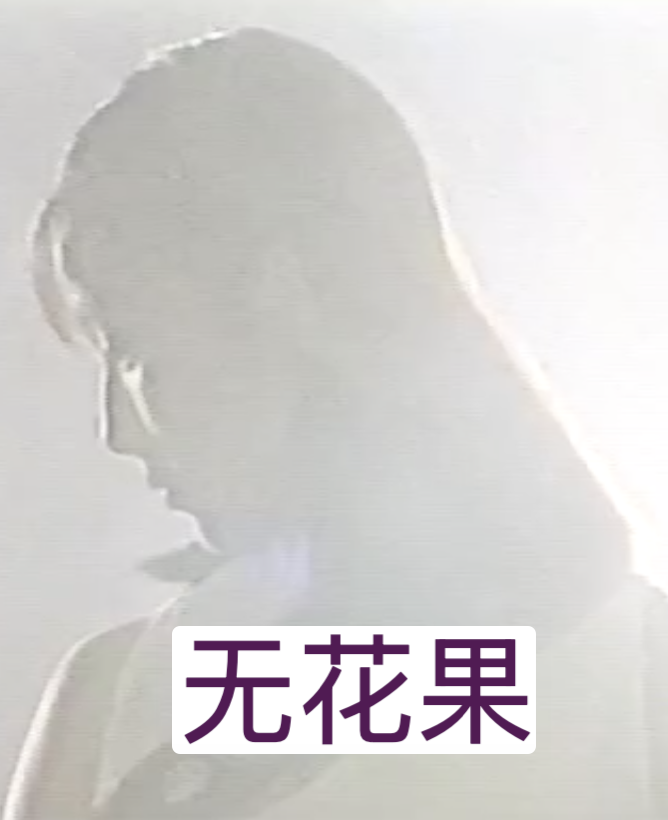 无花果1996