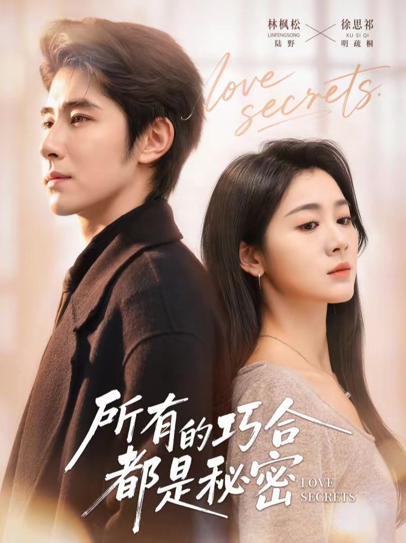 所有的巧合都是秘密陆总夫人她只想离婚