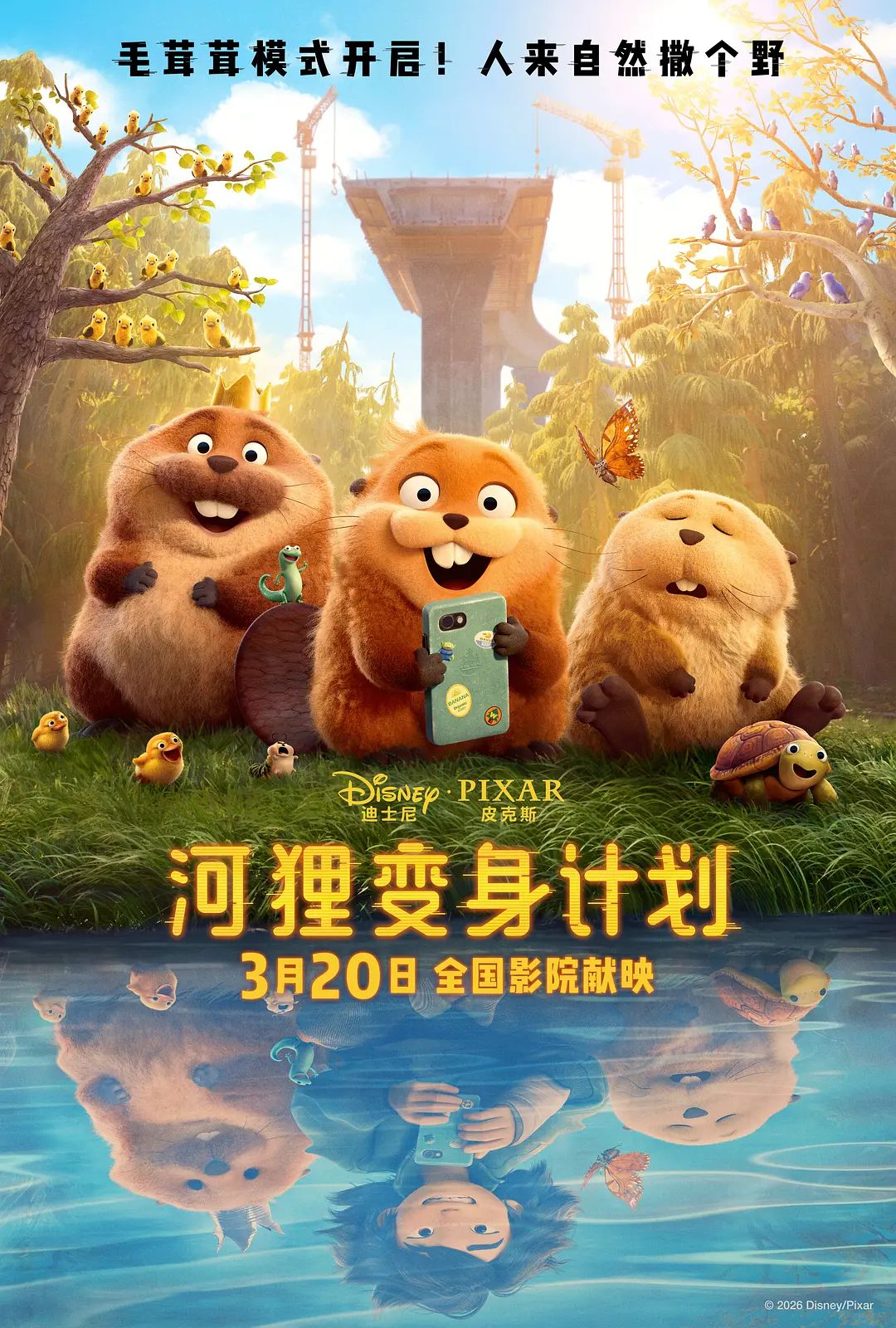 河狸变身计划普通话版