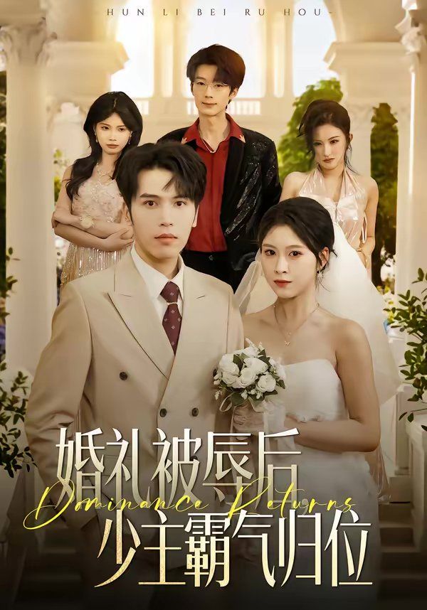 婚礼被辱后少主霸气归位
