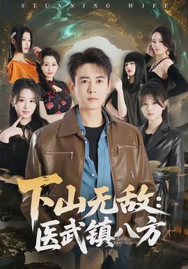 下山无敌医武镇八方