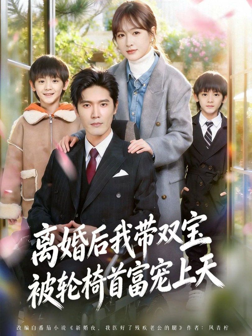 离婚后我带双宝被轮椅首富宠上天离婚后，我被轮椅首富宠上天