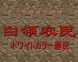 白领农民1998