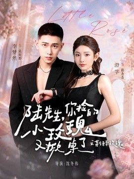 陆先生，你捡的小玫瑰又掀桌了之荆棘玫瑰太子爷的小玫瑰又掀桌了