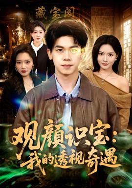 观颜识宝我的透视奇遇
