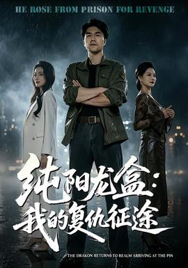 纯阳龙盒我的复仇征途